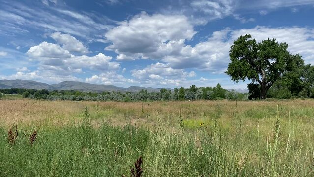 Colorado Front Fange Mopuntains