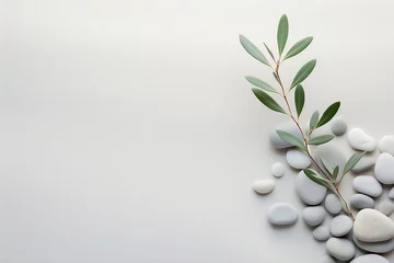 Wall murals Zen Natural Harmony: Sage Twig and Pebble Rocks on Sand - Serene Botanical Background