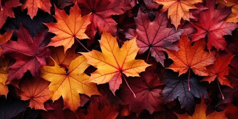 Naklejka na ściany i meble Autumn leaves, top view. Autumn background. Generative AI