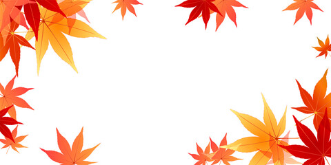 紅葉　もみじ　秋　背景
