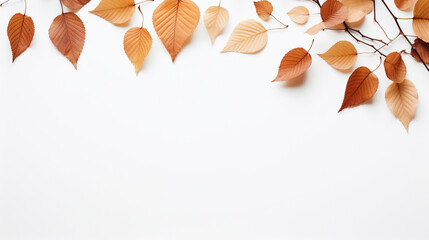 Delicate Fall and Autumn Leaves FlatLay - Isolated on White Background with Stems and Branches - Generous Copy Space in Clean CozyCore Aesthetic - Generative AI