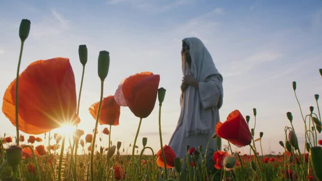 Christ walking slowly covered with a tallit in a beautiful poppies field at sunset.