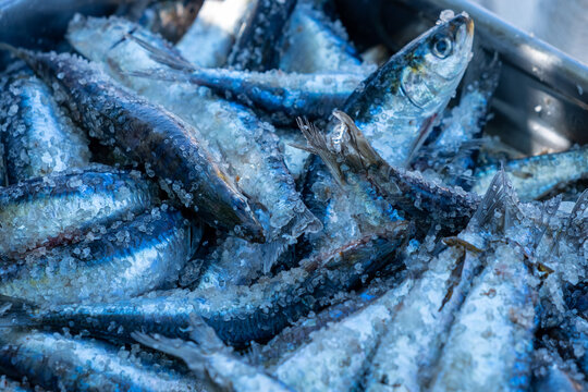 Selective Focus, Salt-coated Sardines Ready For Cooking