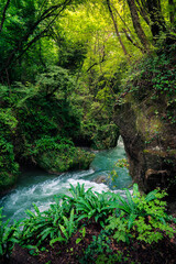 il fiume nera scorre impetuoso e forma le cascate delle marmore, disegnando uno scenario che ricorda le foreste pluviali
