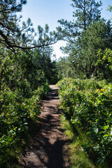 Castlewood Hiking Trail