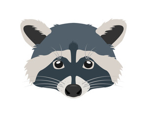 Raccoon face icon. Wild mammal forest animal character mask. Cute raccoon head. Vector illustration on white background.