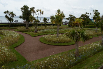 Wildflowers replace traditional bedding plants at foot of Torre Abbey Gardens, Torquay