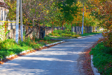 Autumn road in the village park. Country road in countryside