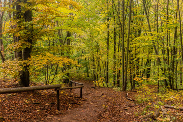 Hiking trail in Cesky kras nature protected area near  Svaty Jan pod Skalou village, Czech Republic - obrazy, fototapety, plakaty