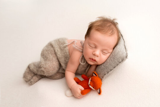 A cute newborn baby boy sleeps in a gray overalls in the first days of life. On a white background. With a bright orange felt toy fox. Professional macro photography, portrait.