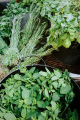 Mint, dill and parsley sold on green market