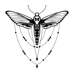 Vector moth, mystic geometric decoration, symbol and signs. Witchcraft, occult, alchemical signs. Butterfly moth vintage engraved style