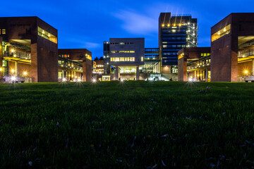 University of Agder