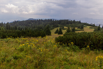 Landscape of Nizke Tatry mountains, Slovakia
