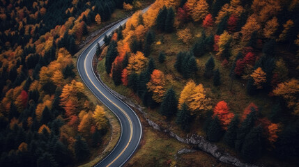 birds eye view of a country road winding through a forest in full autumn color