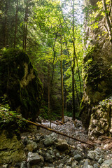 Huciaky gorge in Nizke Tatry mountains, Slovakia