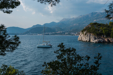 Fototapeta na wymiar beautiful landscape. View of the Adriatic Sea from the park near the island of Sveti Stefan in Montenegro