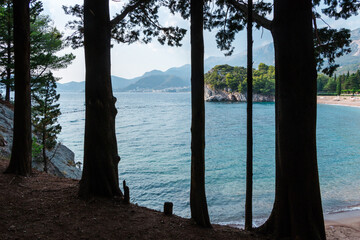 beautiful landscape. View of the Adriatic Sea from the park near the island of Sveti Stefan in Montenegro
