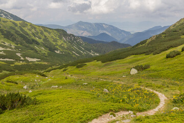 Fototapeta na wymiar Hiking trail in Siroka dolina valley in Nizke Tatry mountains, Slovakia