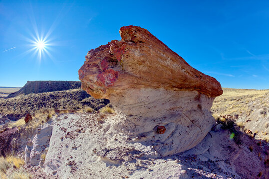 A giant petrified log balanced on a sandstone pedestal in Petrified Forest National Park Arizona along the Red Basin Trail.