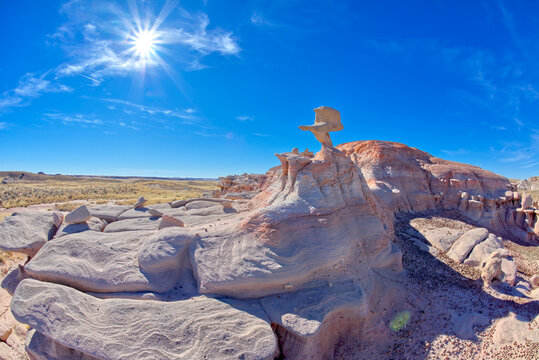 A rock hoodoo in Pharaoh's Garden at Petrified Forest Arizona that resembles a Duck head.