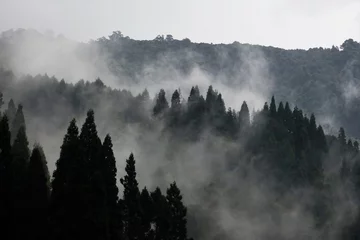 Selbstklebende Fototapete Himalaya Amidst the mist, Singalila National Park, India, unveils enchanting layers of lush forests, beckoning adventurers to explore its mystical beauty.