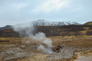 Geyser in Iceland