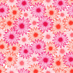 Chamomile cute vector endless pattern. Osteospermum blossom with