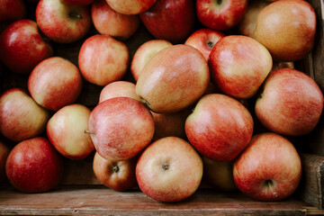 Fototapeta na wymiar Red apples sold in autumn