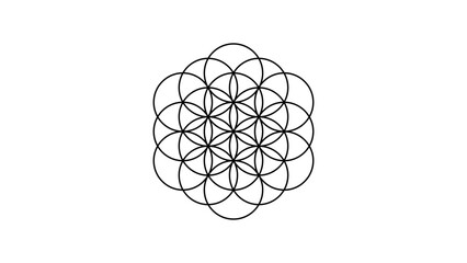 Clean Flower of Life Design