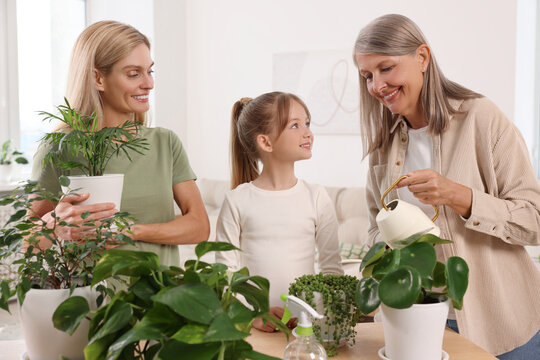 Three generations. Happy grandmother, her daughter and granddaughter watering houseplants at home