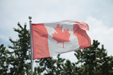 worn and faded canadian flag blowing in wind on flag pole with pines trees and clouds in the...