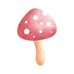  mushroom