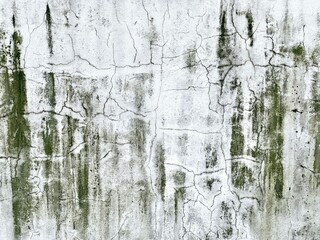 a photography of a white wall with a green paint peeling off, a close up of a fire hydrant on a dirty wall.