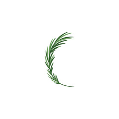 Fototapeta premium Rosemary logo vector illustration template business element and symbol design