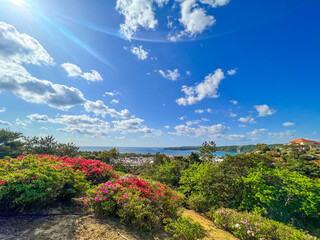 沖縄東村の公園から海の風景