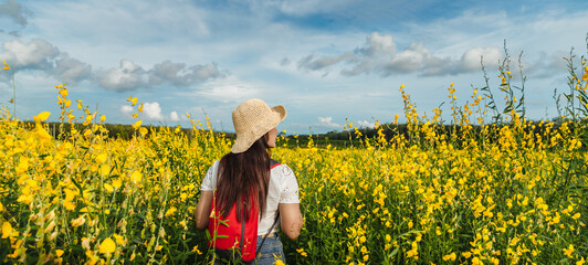 Wide panorama outdoor traveler woman joy nature view scenic landscape yellow flower blooming in spring season, Tourist girl vacation travel countryside Thailand, Tourism beautiful destination Asia