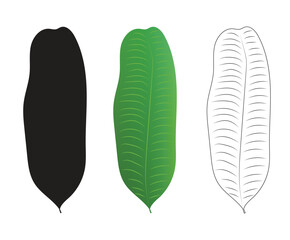 isolated banana plant leaves vector illustrations with line art