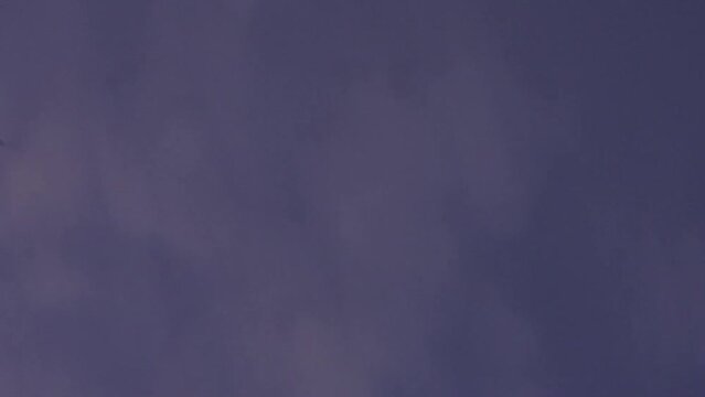 Silhouette of Scarlett Macaws flying in the sky at sunset- slow motion