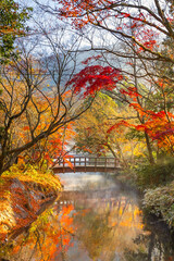 Autumn Scenery in a Park in the Famous Yufuin Resort Town - 628327898