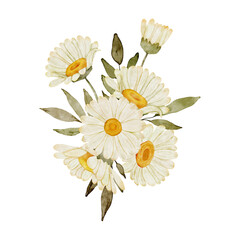 Watercolor Daisy Flower Arrangement