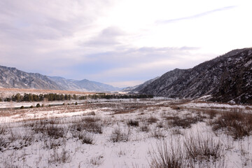 Bushes in a wide snow-covered valley at the foot of high mountains on a clear winter day.