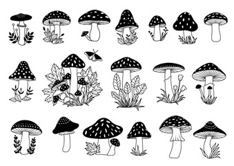 Mushroom Vector Clip Art, Mushroom Doodle Set, Hand drawn Mushroom Bundle, Autumn Mushrooms, Vector Fungi Design, Black & White Mushroom Line Drawing © Len Minimal Design