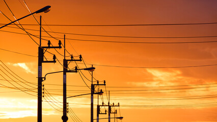 Silhouette row of electric poles with street lights and cable lines against beautiful yellow sky background in golden hour time, perspective wide screen view