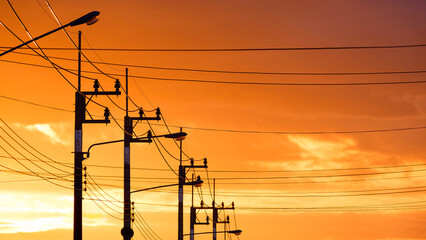 Silhouette row of electric poles with street lights and cable lines against beautiful yellow sky...