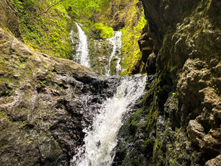 waterfall in the forest