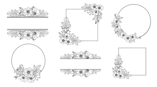 Wild Rose Frames, Floral Frame Vector, Vector Flower Borders, Hand Drawn Wild Rose Clip Art, Flower Doodle, Botanical Floral Doodle, Floral Border for Decoration, Wedding, Branding, Flower Split Frame