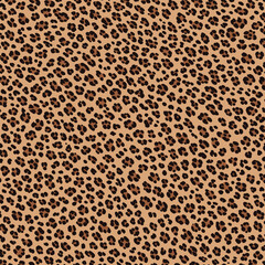 Leopard texture seamless vector