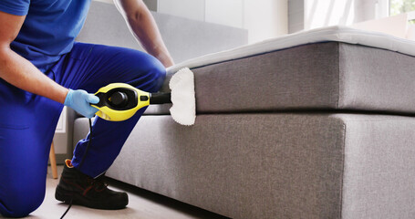 Bed Bug Pest Control Cleaning