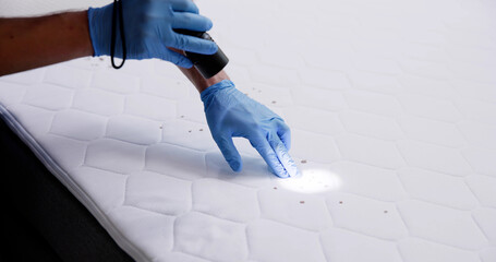 Bed Bug Infestation And Treatment Service